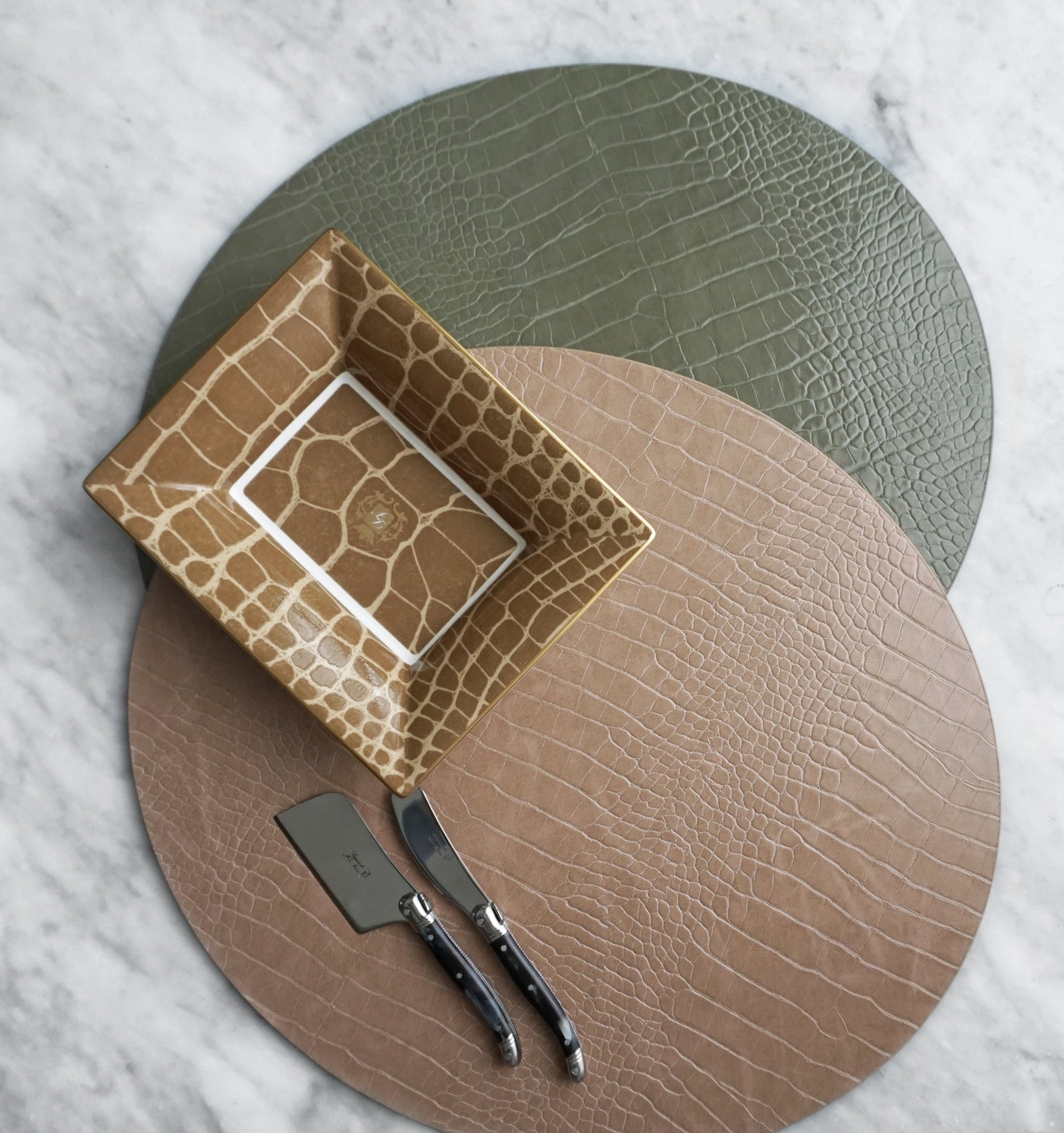 Prouna Alligator Safari Vide Poche / Jewelry Tray White Background Photo