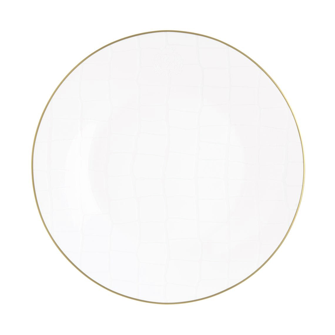 Prouna Alligator White Dinner Plate White Background Photo