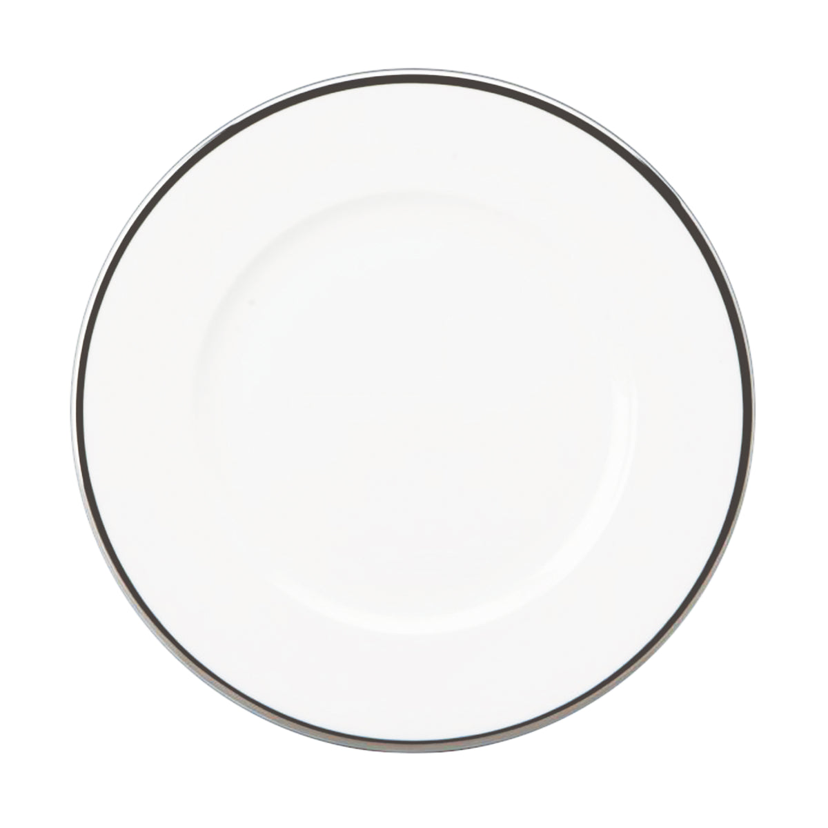 Prouna Comet Platinum Dinner Plate White Background Photo