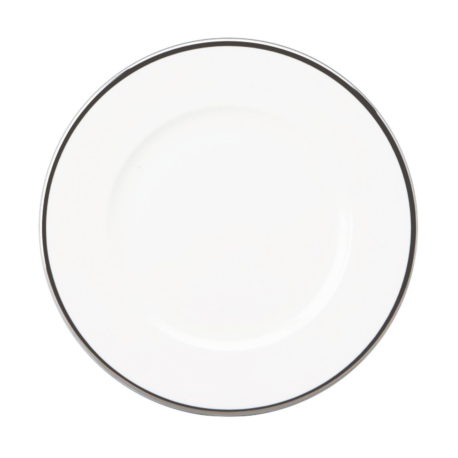 Prouna Comet Platinum Dinner Plate White Background Photo