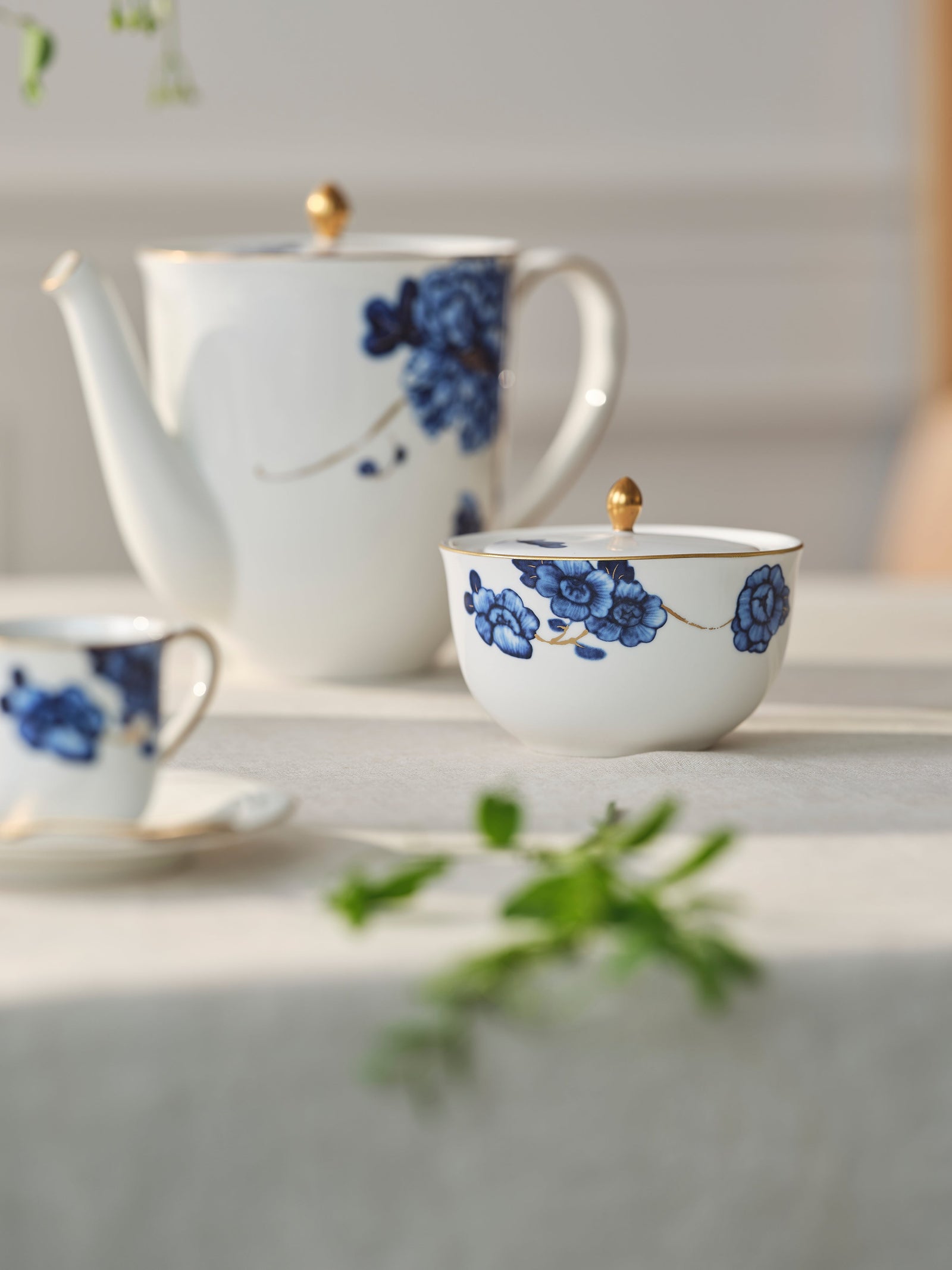 Prouna Emperor Flower Sugar Bowl White Background Photo