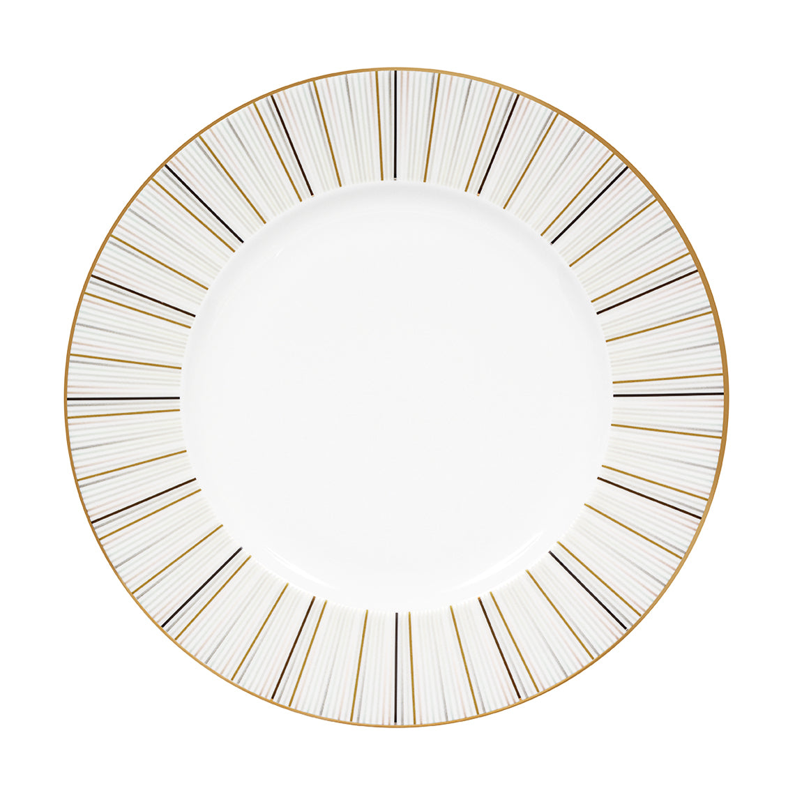 Prouna Luminous Dinner Plate White Background Photo