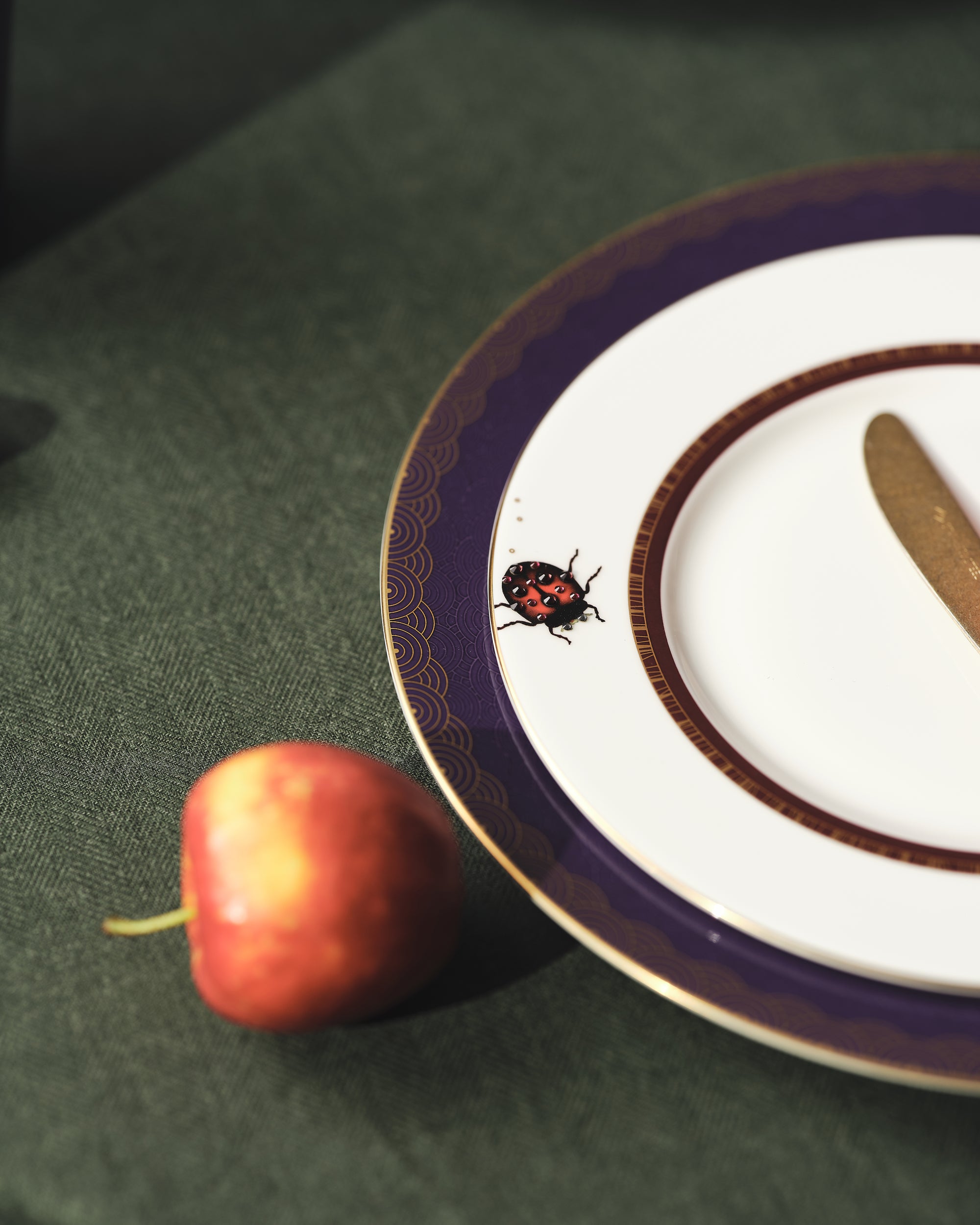 Prouna My Ladybug Salad / Dessert Plate White Background Photo