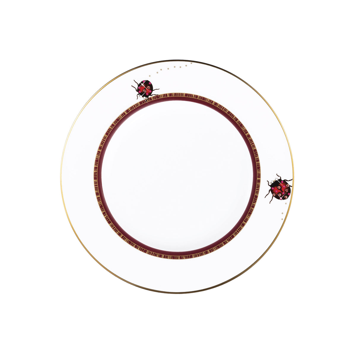 Prouna My Ladybug Salad / Dessert Plate White Background Photo