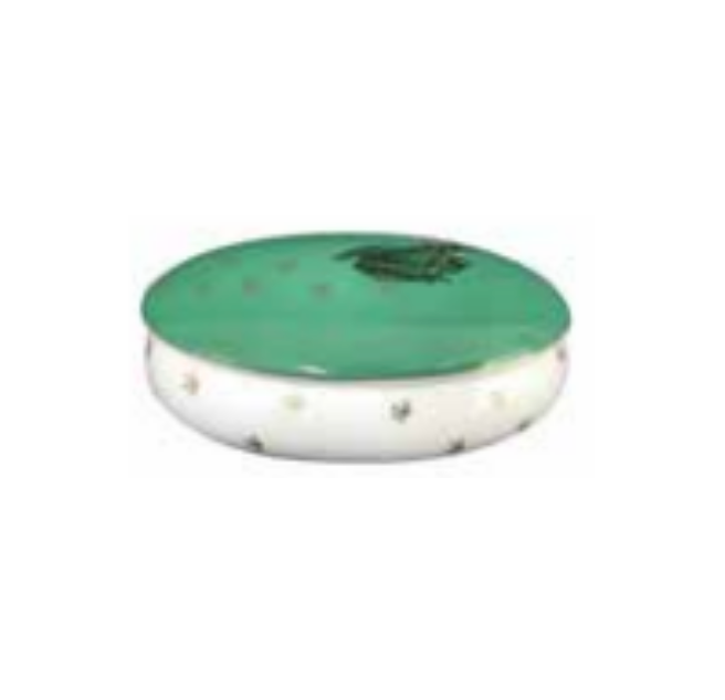 Prouna My Frog Prince Oval Jewelry Box White Background Photo