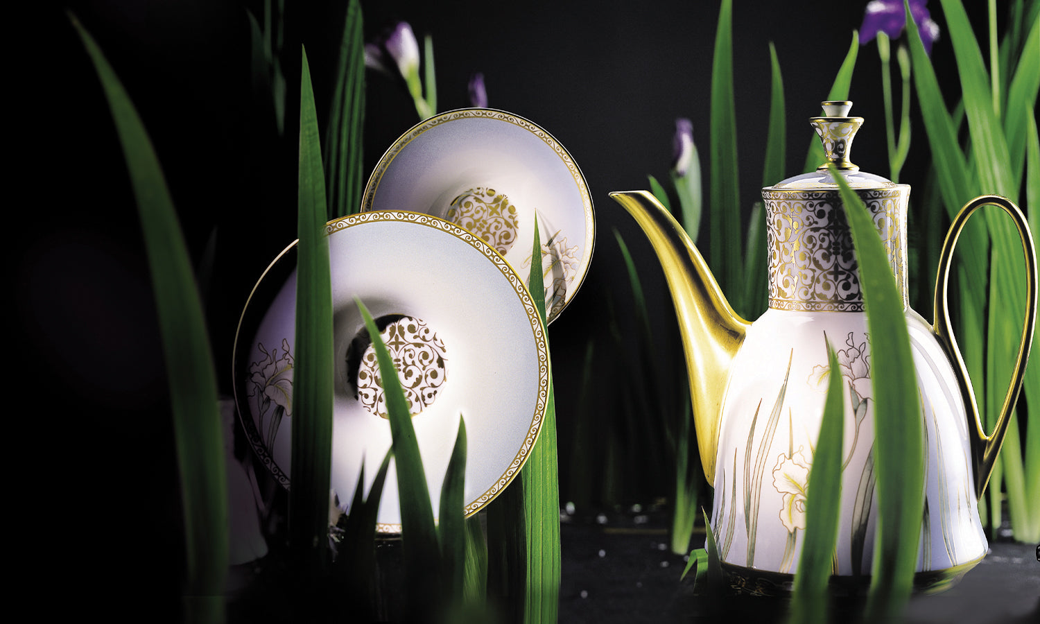 Iris Collection Header