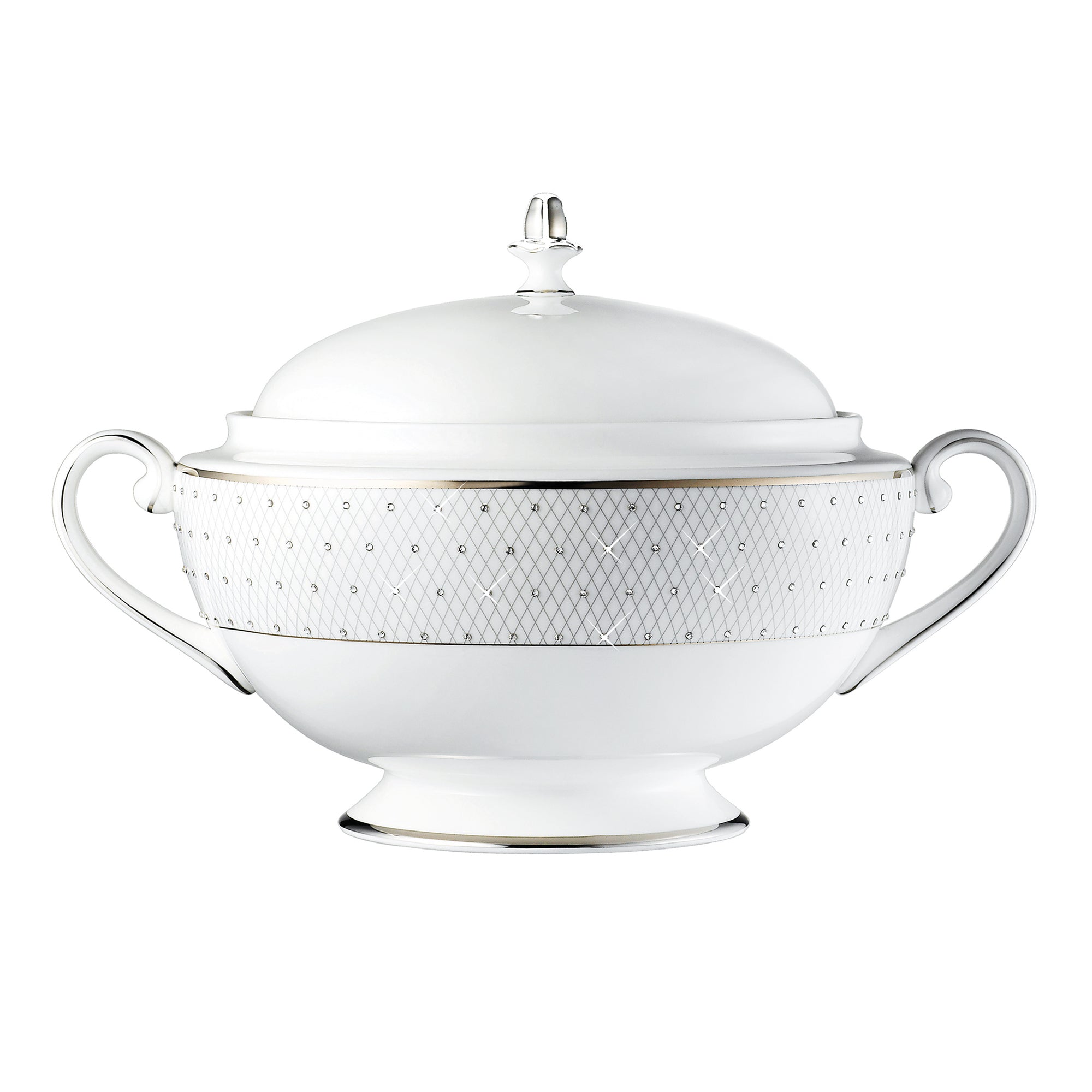 Prouna Princess Platinum Covered Vegetable Bowl / Soup Tureen White Background Photo