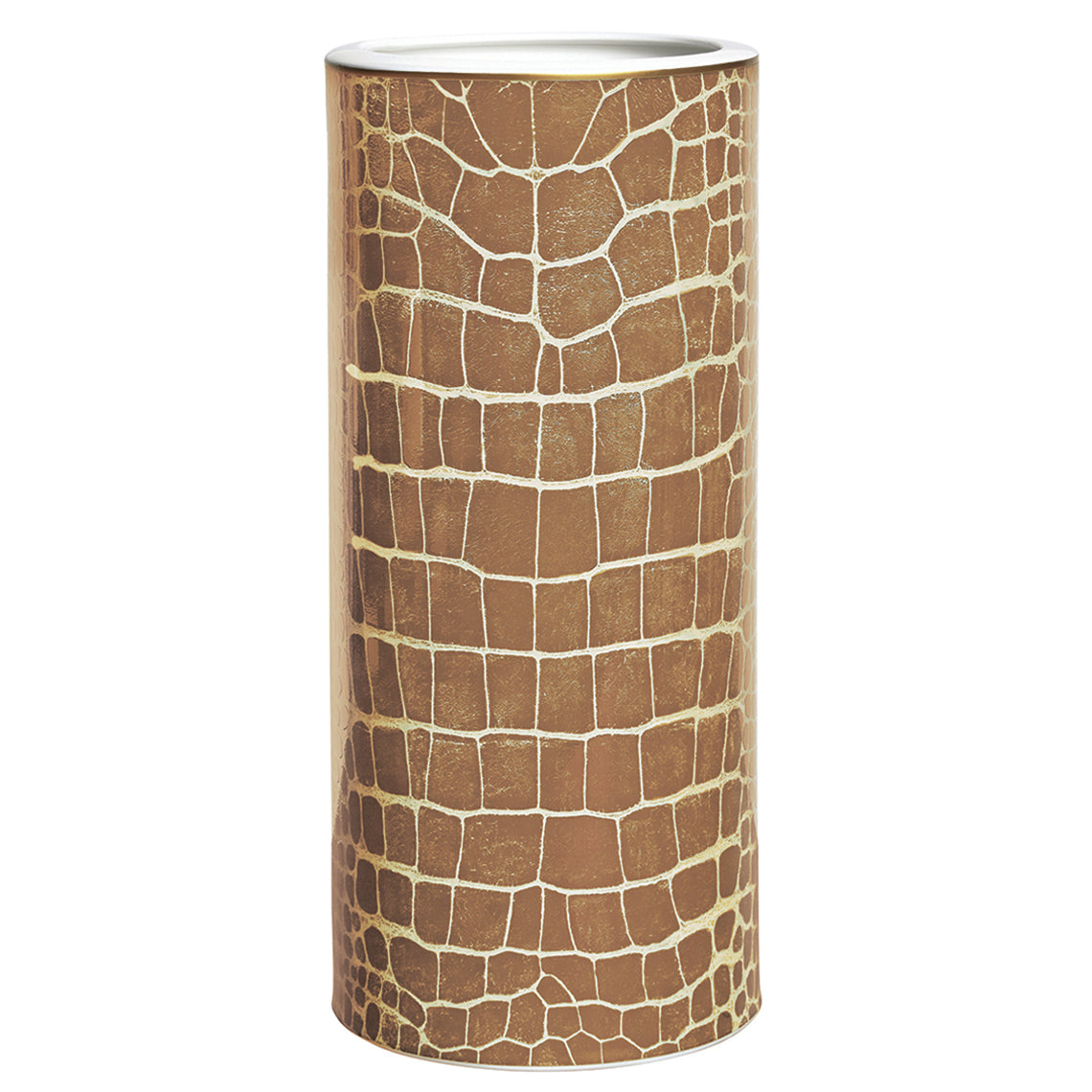 Prouna Alligator Safari Tall Vase White Background Photo