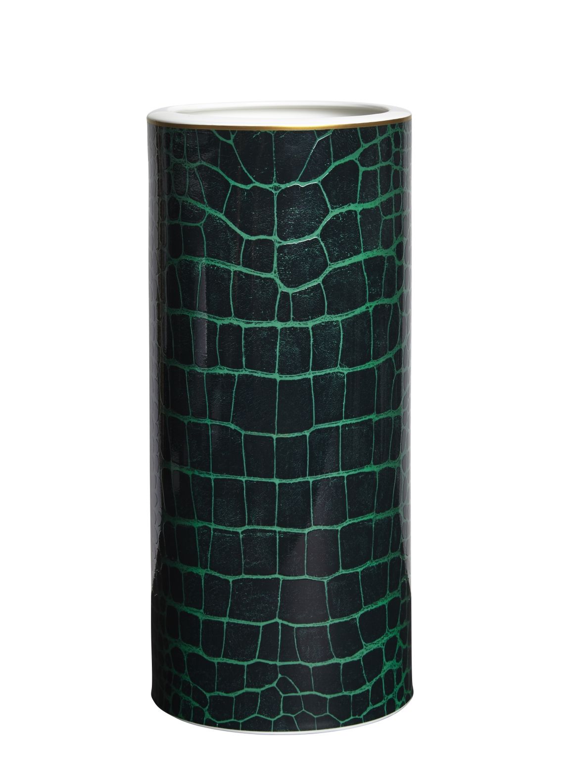 Prouna Alligator Emerald Tall Vase White Background Photo