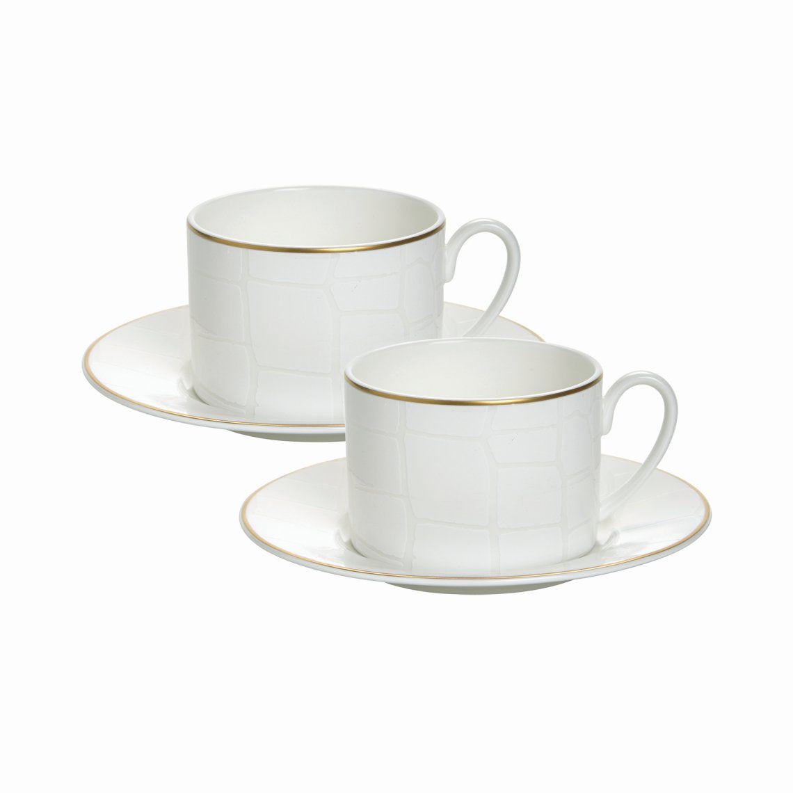 Alligator White Set of 2, Cups &amp; Saucers White Background Photo