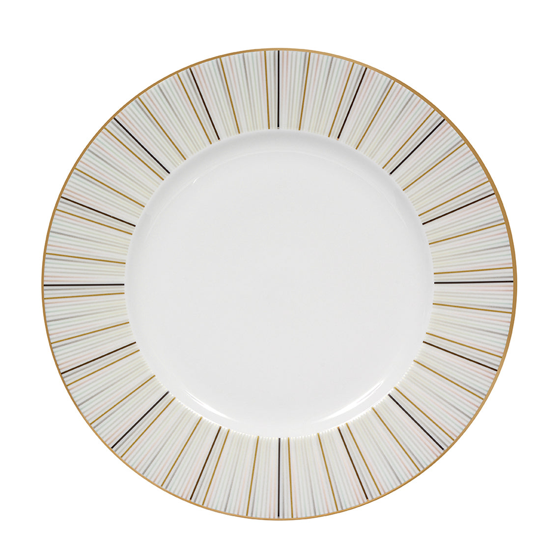 Luminous Dinner Plate White Background Photo