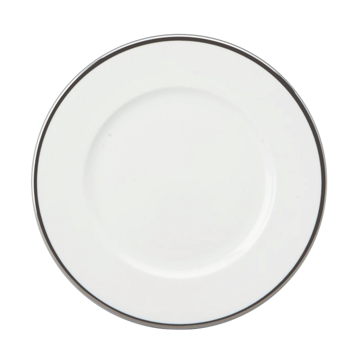 Comet - Dinner Plate